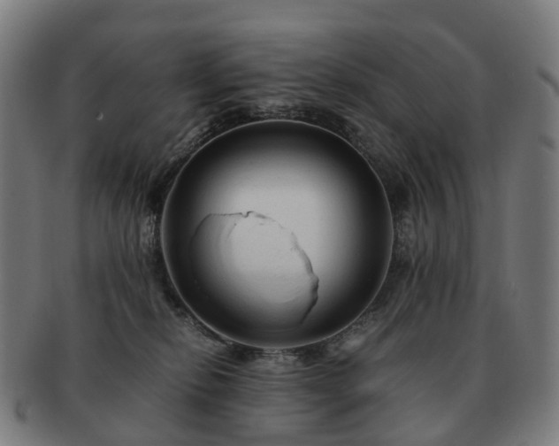 X0000091490278200708231428