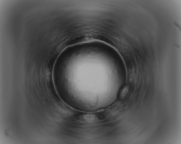 X0000091490279200708231428