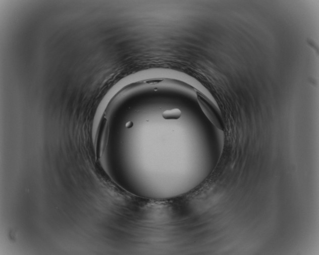 X0000091490280200708231428