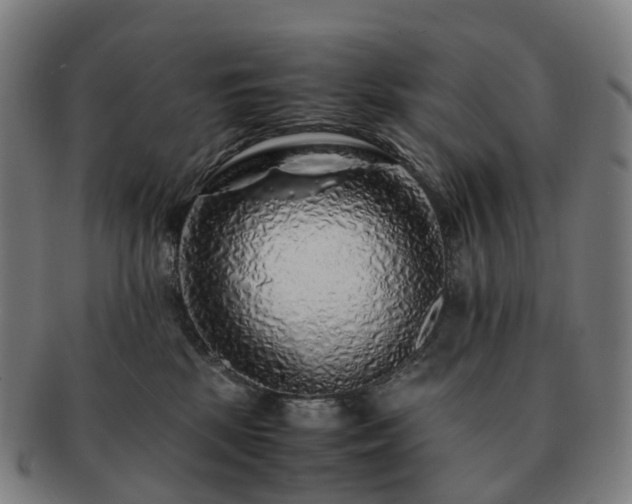 X0000091490281200708231428