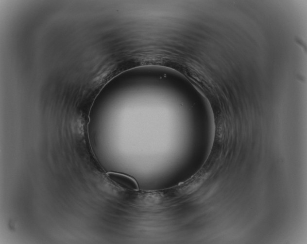 X0000091490282200708231428