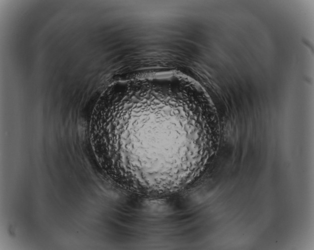 X0000091490283200708231428