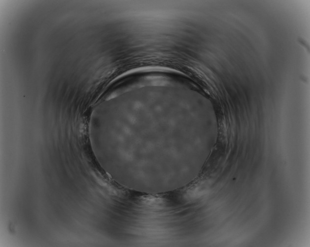 X0000091490284200708231428