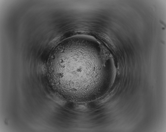 X0000091490285200708231428