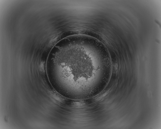 X0000091490286200708231428