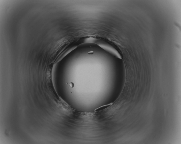 X0000091490288200708231429