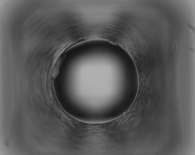 X0000091490289200708231428