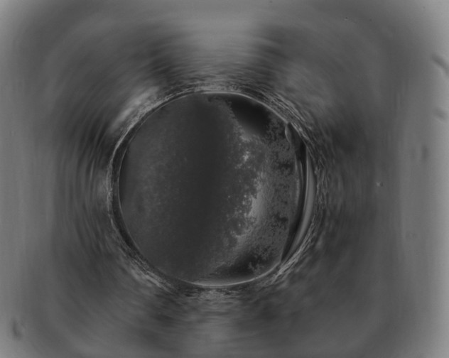 X0000091490290200708231428