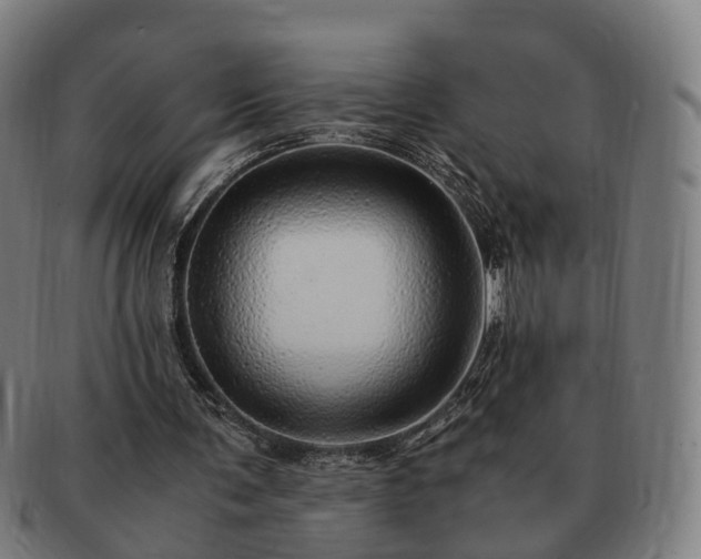 X0000091490291200708231428