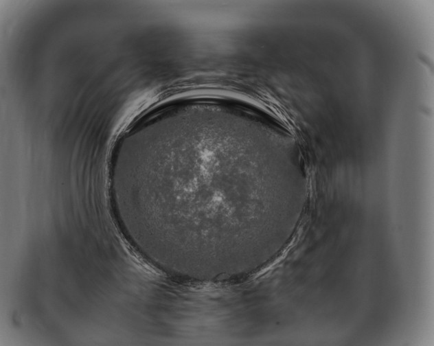 X0000091490293200708231428