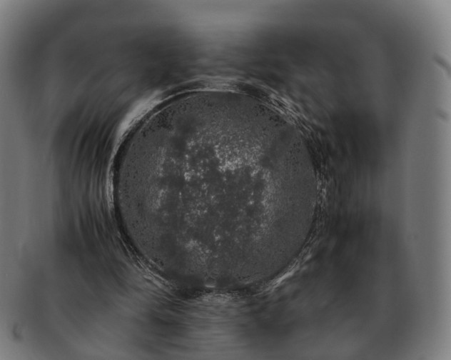 X0000091490294200708231428