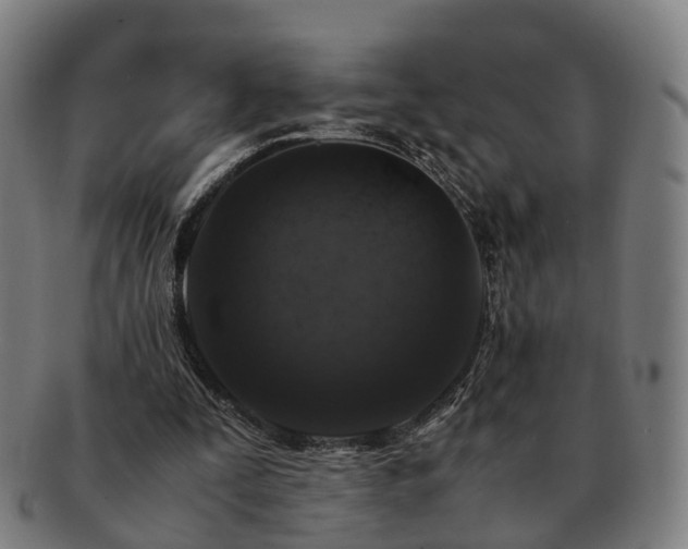 X0000091490295200708231428