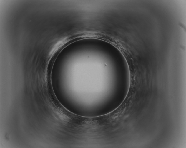 X0000091490296200708231428