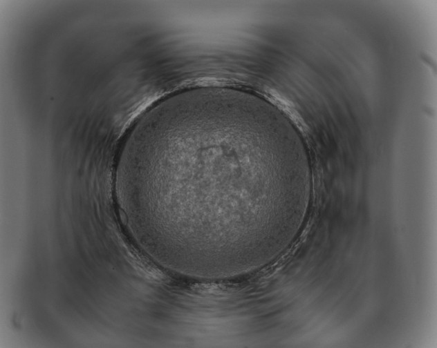 X0000091490297200708231428