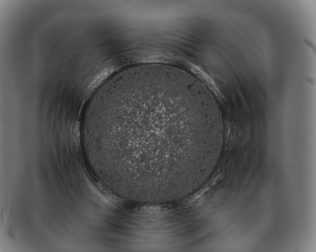 X0000091490298200708231428