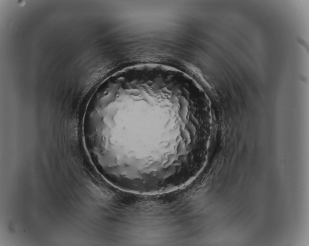 X0000091490299200708231428