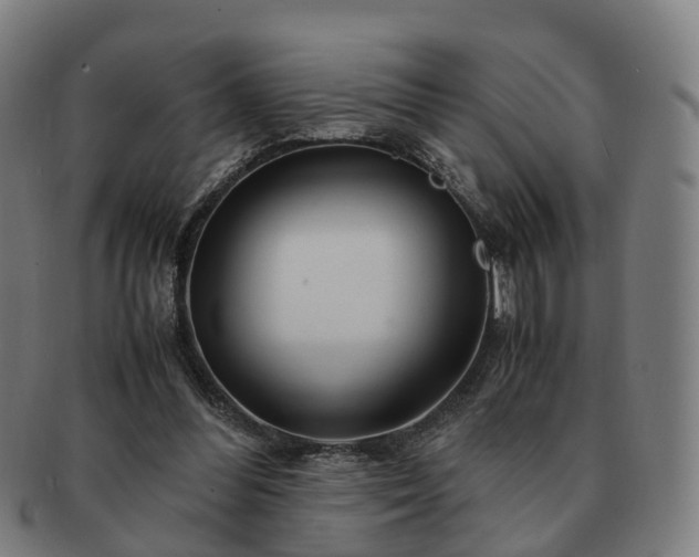 X0000091490300200708231428