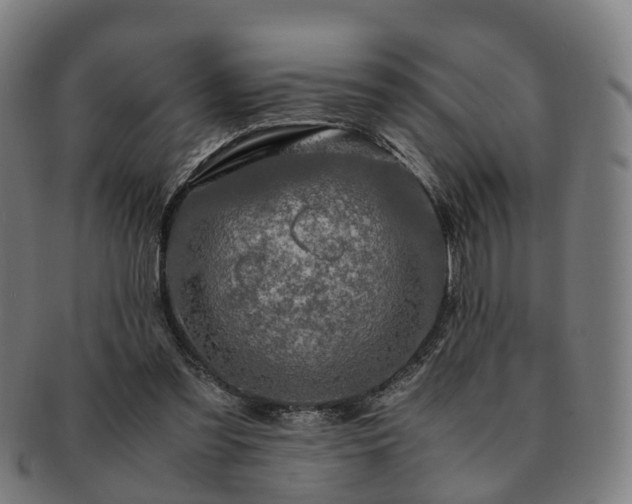 X0000091490301200708231428