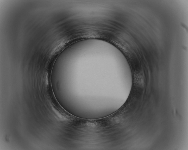 X0000091490302200708231428