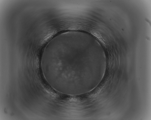 X0000091490303200708231427