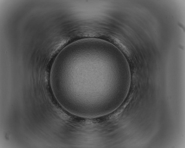 X0000091490305200708231427