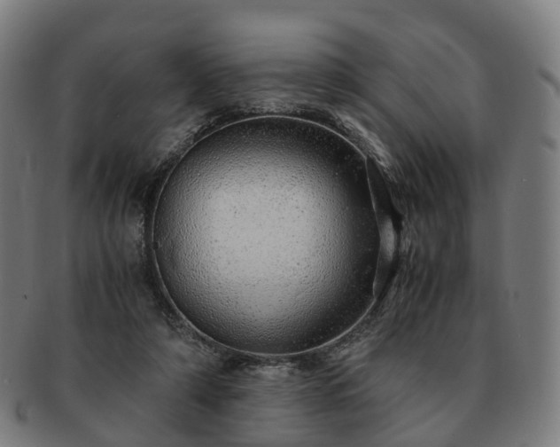 X0000091490306200708231427