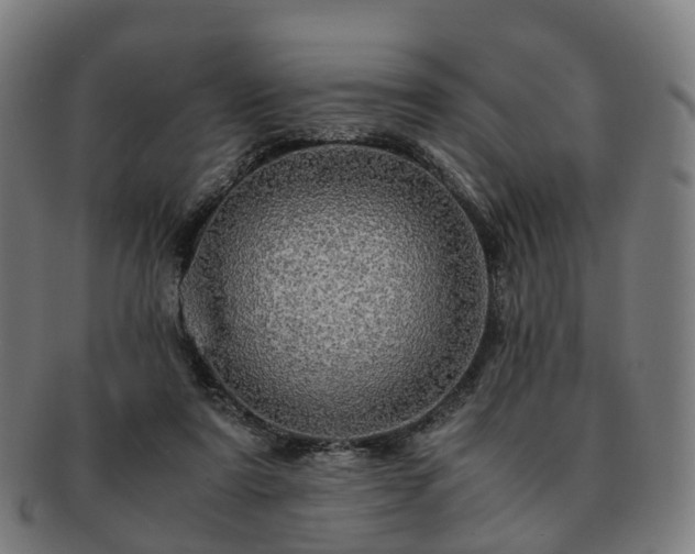 X0000091490307200708231427