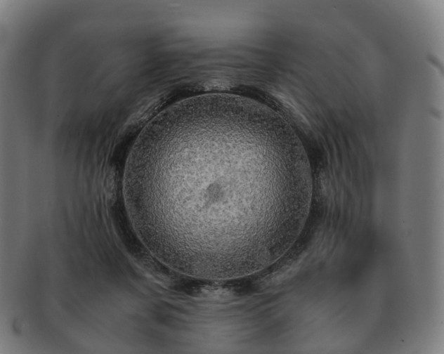 X0000091490311200708231427