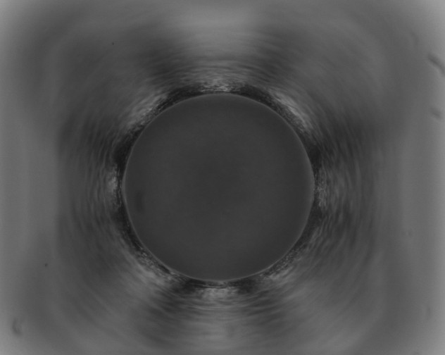 X0000091490314200708231427