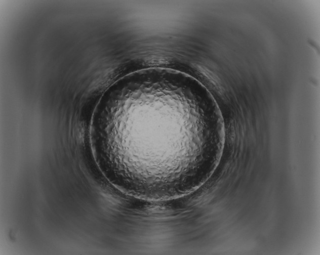 X0000091490315200708231427
