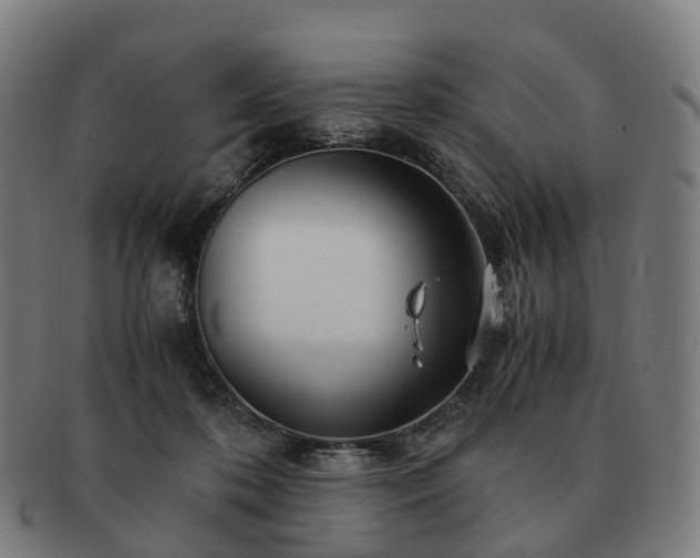 X0000091490316200708231427