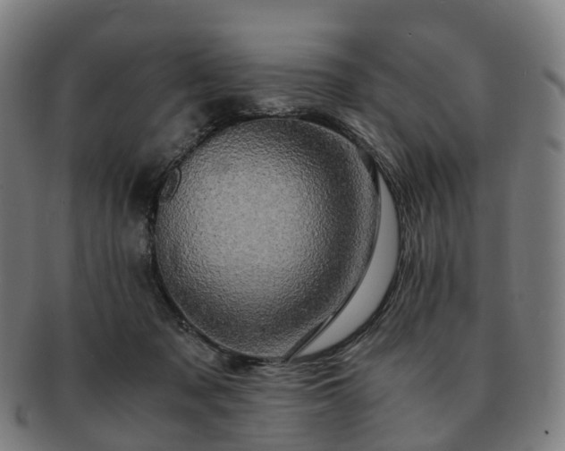 X0000091490317200708231427