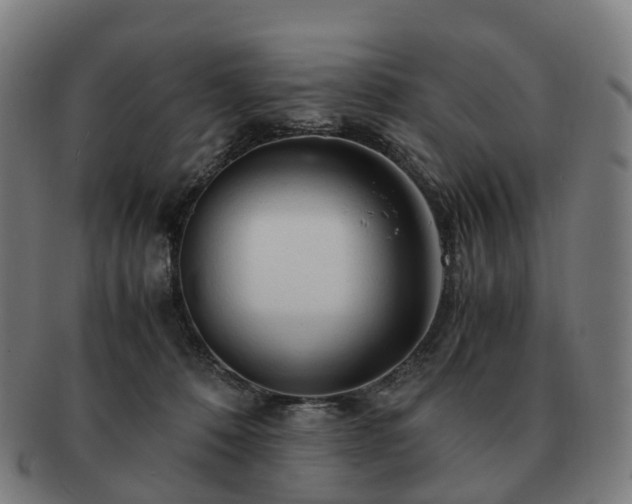 X0000091490320200708231427