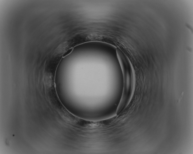 X0000091490323200708231427