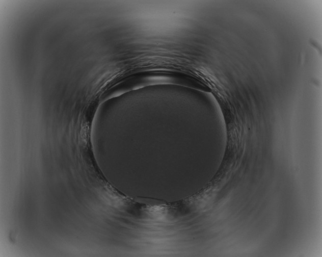 X0000091490325200708231427