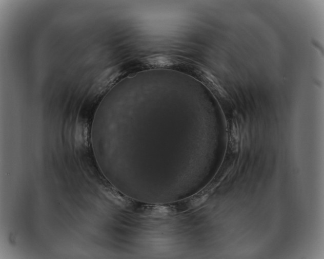 X0000091490330200708231427