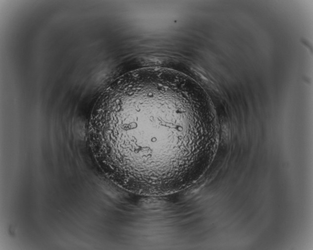 X0000091490331200708231427