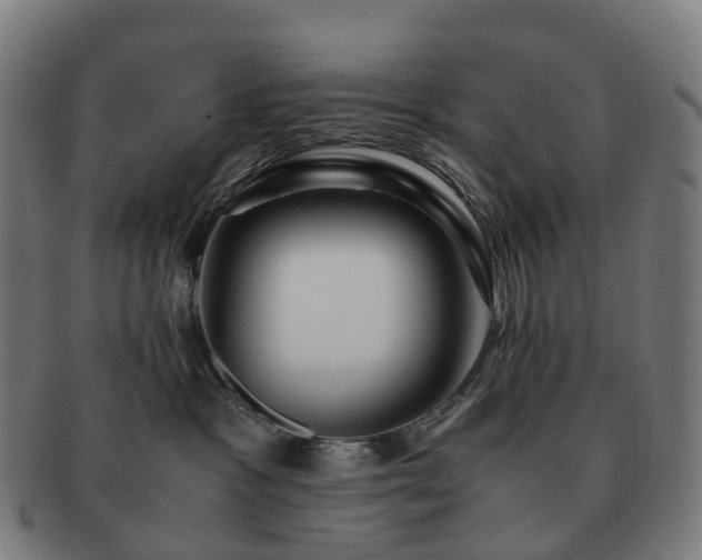 X0000091490333200708231427