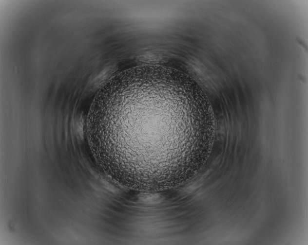 X0000091490334200708231427