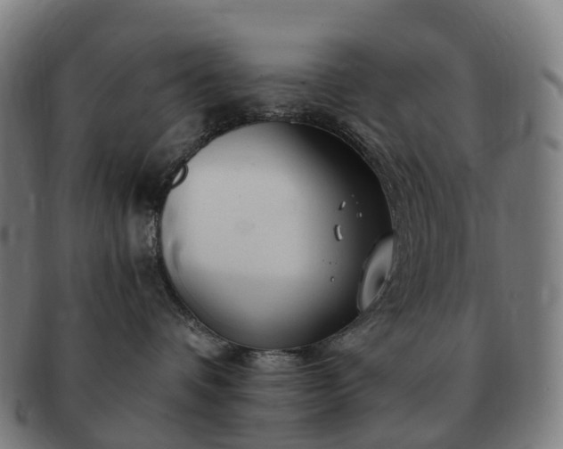 X0000091490336200708231427