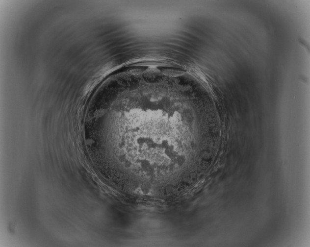 X0000091490337200708231426