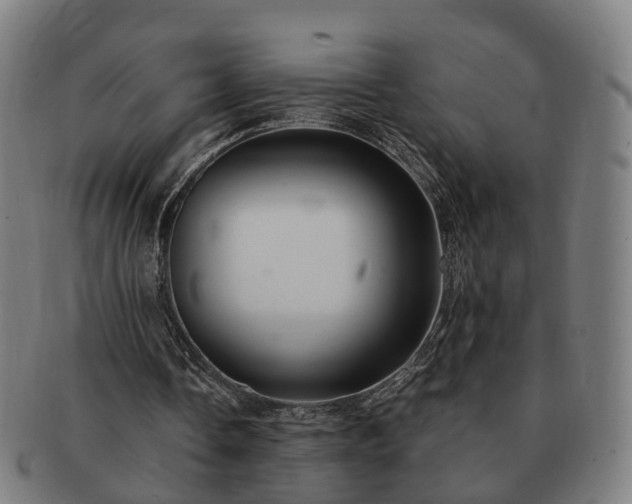 X0000091490338200708231426