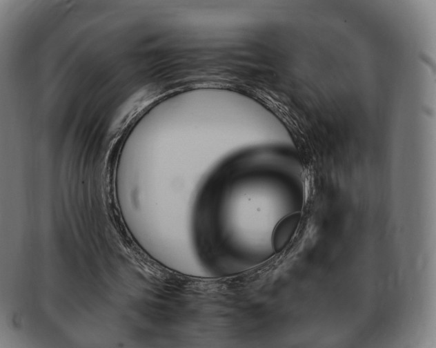 X0000091490339200708231426
