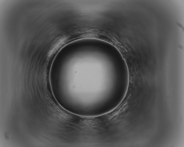 X0000091490341200708231426
