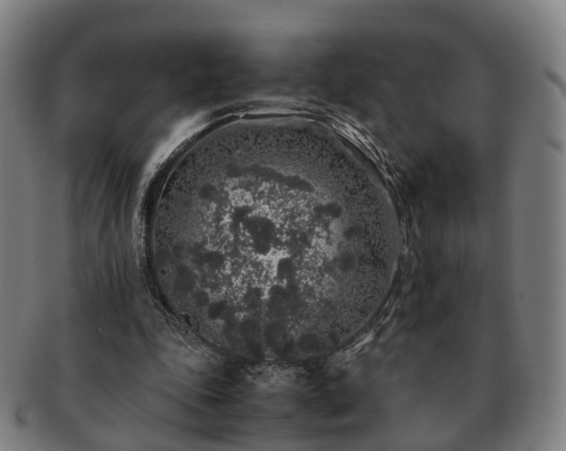 X0000091490343200708231426