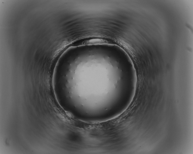 X0000091490345200708231427