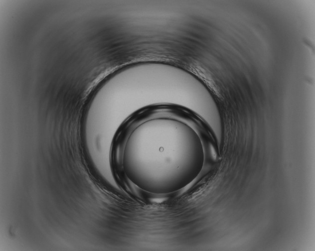 X0000091490348200708231427