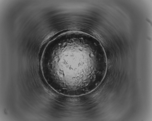 X0000091490349200708231427
