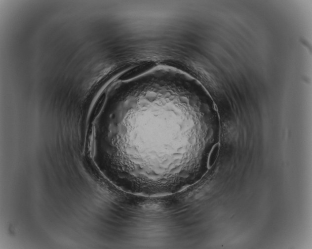 X0000091490358200708231427