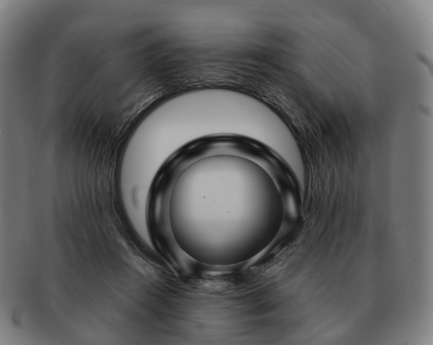 X0000091490360200708231427